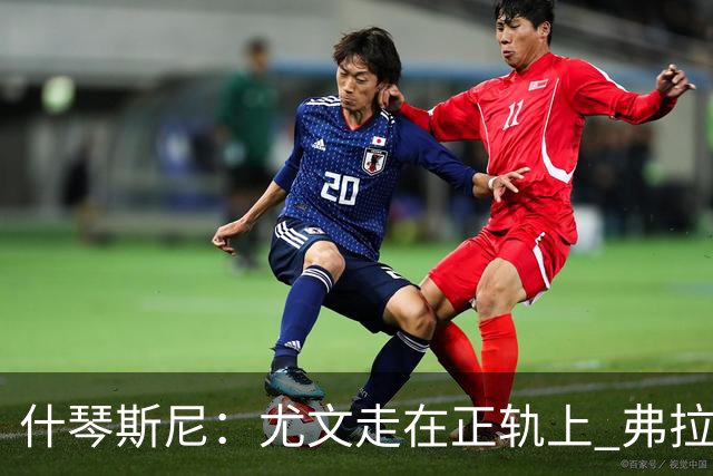什琴斯尼：尤文走在正轨上 弗拉霍维奇非常出色